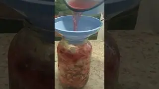 Маринованная капуста со свёклой