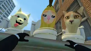 skibidi toilet cat 9🍌🔥banana cat