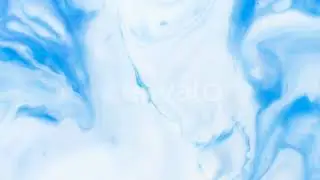 Paint | Stock Footage - Envato elements