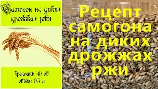 Рецепт самогон на диких дрожжах ржи, полный рецепт и дегустация. ( Luxstahl 8 ).