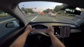 2020 Tesla Model 3 Performance - POV Test Drive