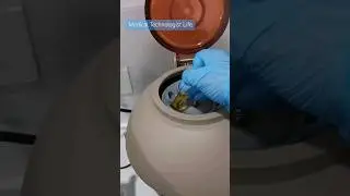 life inside the Clinical Laboratory