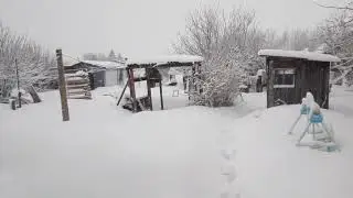 Воронеж засыпало снегом.. Сколько будет стоить мясо и цыплята в 2022г.