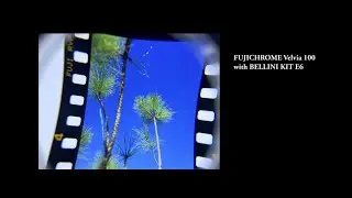 Fujichrome Velvia 100 - Bellini E6