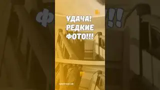 Удача!Редкие фото!!! #скупка #старинныевещи #антиквариат #фото #фотография #гагарин #юрийгагарин