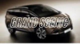 Успели купить Grand Scenic до поднятия цен таможни!