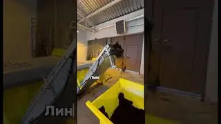 Наполнение кассет торфом #автоматизация #reels #fmte #wsmb #питомникрастений
