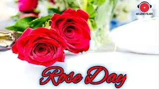 Rose Day Status 7 February 2022🌹Happy Rose Day 2022🌹#4KUHDFILMS