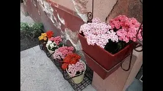 Путешествие по Мексике. Фильм 1. Центр города
