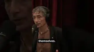'BRAIN ELECTRIC CIRCUITS between Child and Parent are CONNECTED ' -Gabor Mate