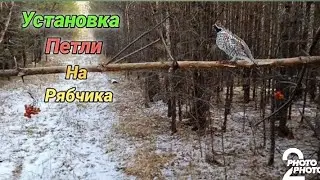 УСТАНОВИЛ ПЕТЛЮ НА РЯБЧИКА ОТЛИЧНО ПРОЕХОЛСЯ  ПО ЛЕСУ