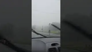 Low visibility #foggyweather #ballarat #weather #trending #viral #foryou #foggy #winter