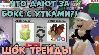 ЧТО ДАЮТ ЗА НОВЫЙ БОКС С УТКАМИ В АДОПТ МИ РОБЛОКС?! ТОП ТРЕЙДЫ! | Adopt me Roblox