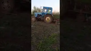 ЮМЗ нервово курить збоку МТЗ-82 оранка косогорів