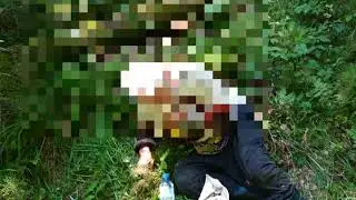 В Твери спасатели нашли 83-летнюю пенсионерку в лесу
