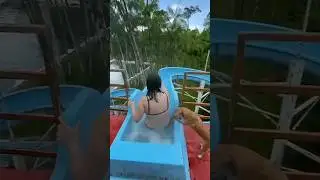 Anjing Penolong Manusia ‼️