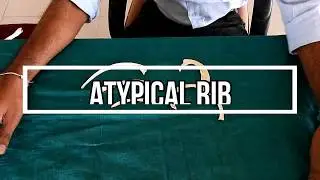 Atypical Rib