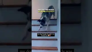 This pup mimics his owner 🥹❤️