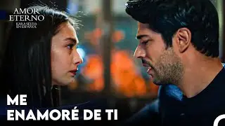 Todo Empezó Aquí - Amor Eterno