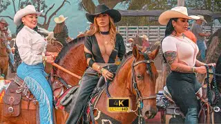 Increíble Cabalgata en COLOMBIA 😍 Zarzal - Valle 2024 🐴