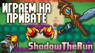 Играем на привате ShadowTheRan