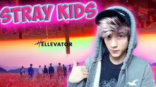 Stray Kids 