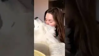 Мой дружок ❤️ 