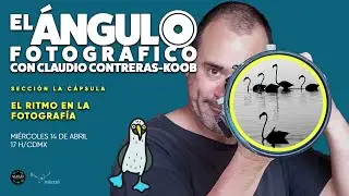 Ritmo en la fotografía 