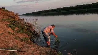 Рыбалка на Ахтубе на сазана 2019! Постоянный клев сазана!