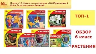 ТОП -1 обучалка по ботанике  к ЕГЭ и ОГЭ по биологии