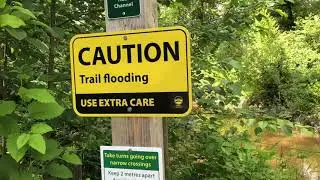 Hiking on Parsons trail at Surrey bend regional park July 12 2020