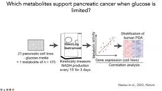 [Zeribe Nwosu] Uridine-derived ribose fuels glucose-restricted pancreatic cancer