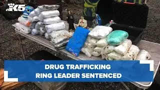 Drug trafficking ring leader sentenced