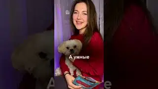Как заработать на вайлдберрис?