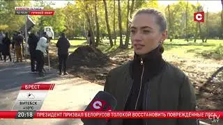Более 70 таможенников со всех регионов присоединились к Всебелорусской молодёжной стройке