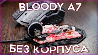 Играю с разобранной мышью!