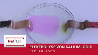 Erklärung zur Elektrolyse einer Kaliumjodidlösung