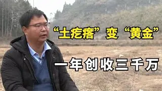 湖北男人种植黄精，将“土疙瘩”变“黄金”，一年创收三千万！