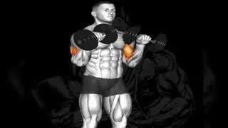 Triceps Gym Workout