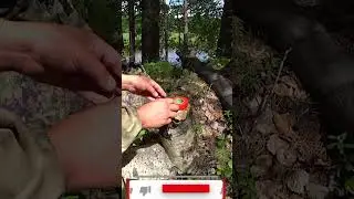 Простой способ сделать самодельный спиннинг из куска дерева. 