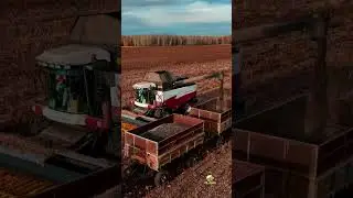 Acros на сборе урожая подсолнечника
