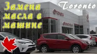 Сколько стоит поменять масло в машине Toyota Центр в ТОРОНТО | Жизнь в Канаде by Étoile Tube CANADA