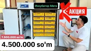 Инкубатор Мега Акция ! Шошилинг сони чекланган.