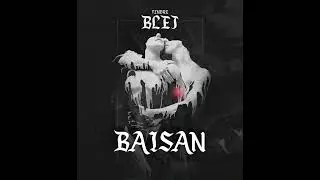 Baisan - BLEJ (Official audio)