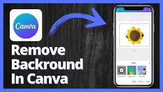 How to Remove the Background in Canva | Latest Update
