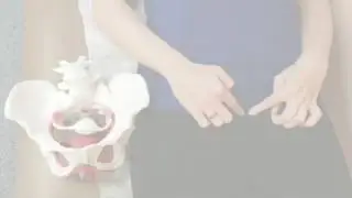 Pelvic anatomy 101 | Connect PT