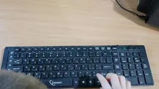Крокодил слово... crocodile...время  деньги