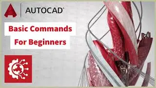 AutoCAD- Basic Commands For Beginners (In 6 Minutes)