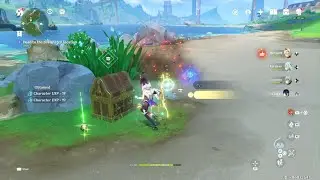 Hidden Chest Fontaine - Genshin Impact