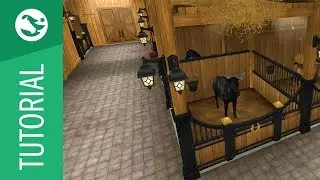Star Stable Tutorial - MyStable